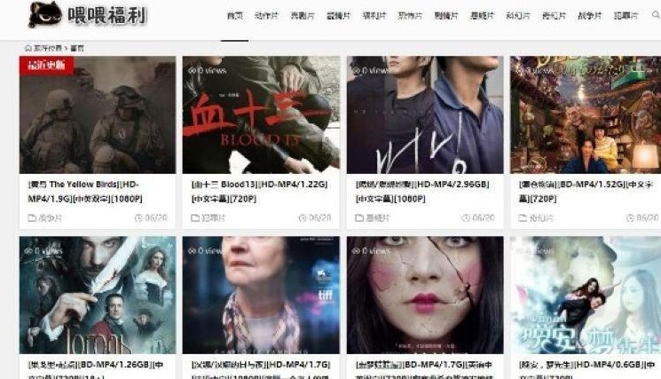 WordPress BT电影资源BT种子采集网站源码+手机端_源码下载