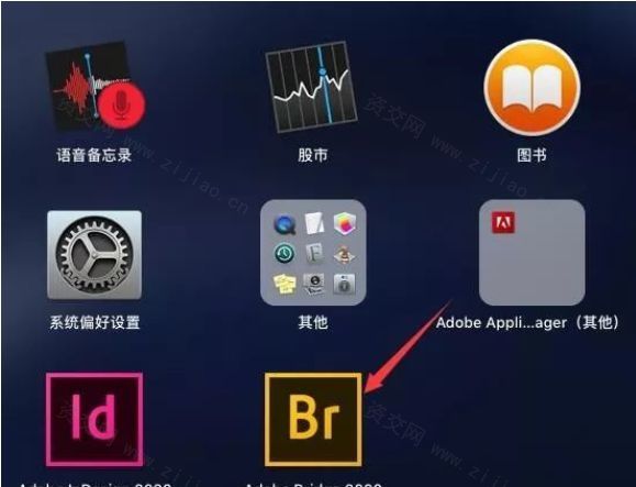 Adobe Bridge BR 2020 For Mac软件免费下载