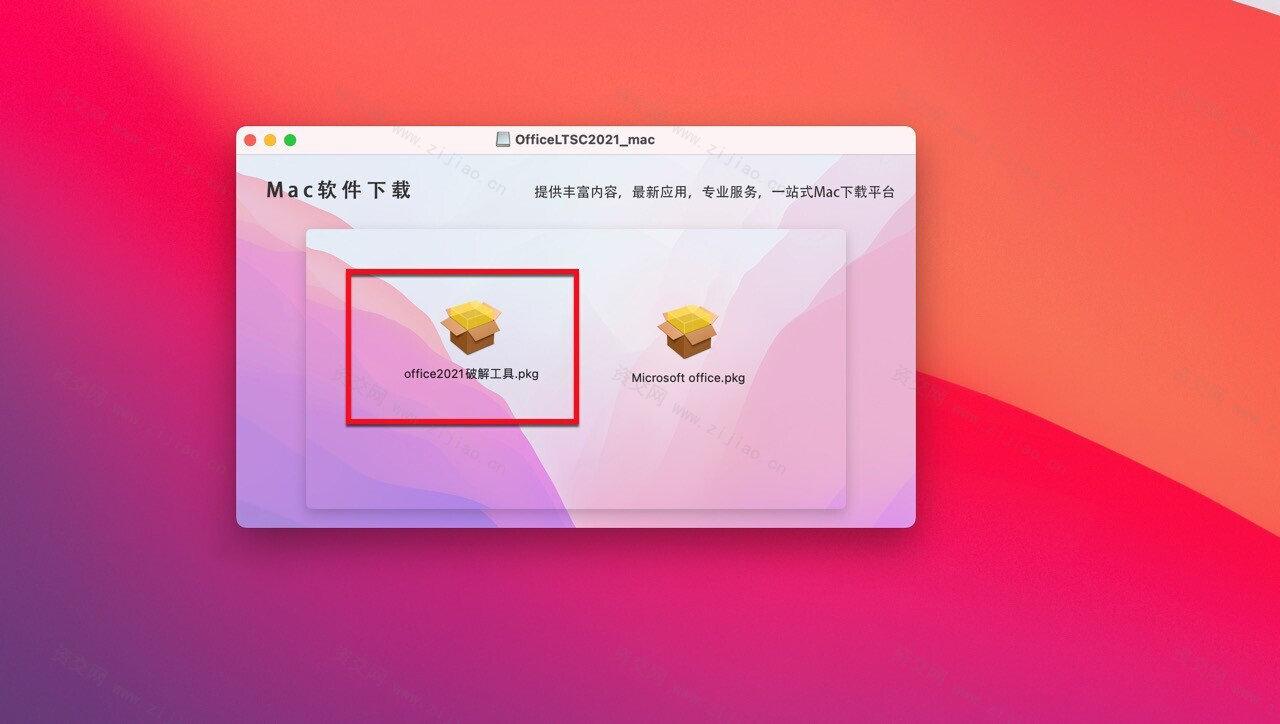 Microsoft Office LTSC 2021 for Mac (office全套办公软件)