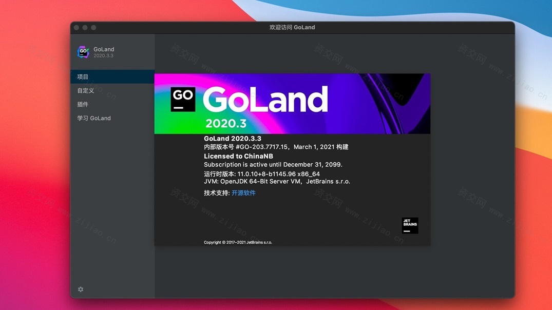 JetBrains Goland Go开发工具中文Win版