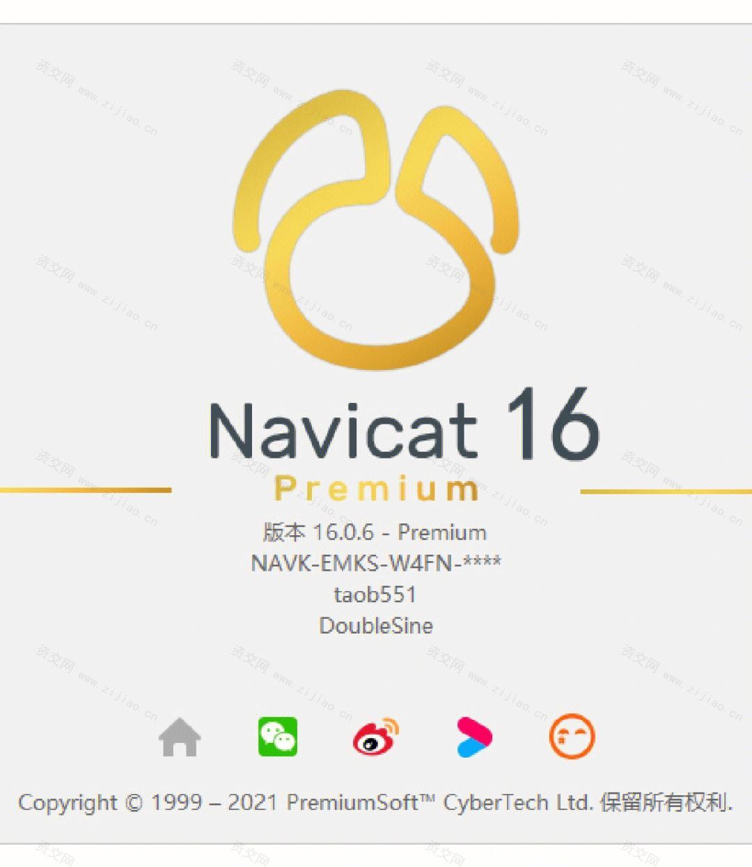 Navicat Premium v16.3.5 数据库管理软件中文破解版下载