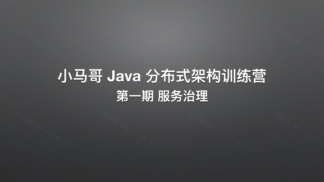 小马哥 Java 分布式架构训练营 – 第一期 服务治理