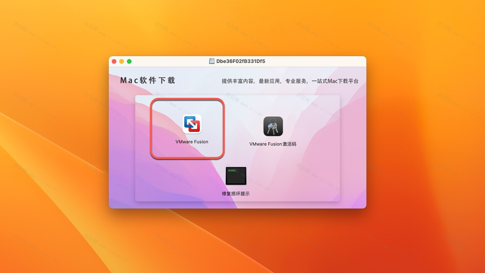 VMware Fusion Pro 13 for Mac(VM虚拟机) v13.5.2中文激活版下载