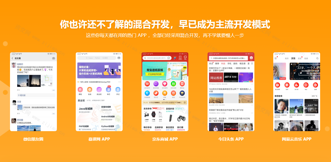 混合开发入门 Vue结合Android/iOS开发仿京东项目App