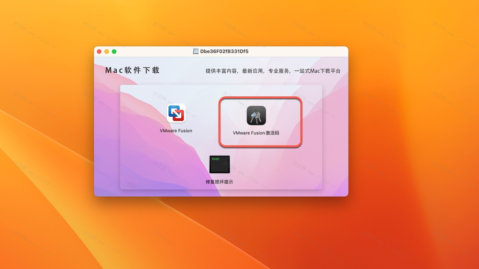 VMware Fusion Pro 13 for Mac(VM虚拟机) v13.5.2中文激活版下载