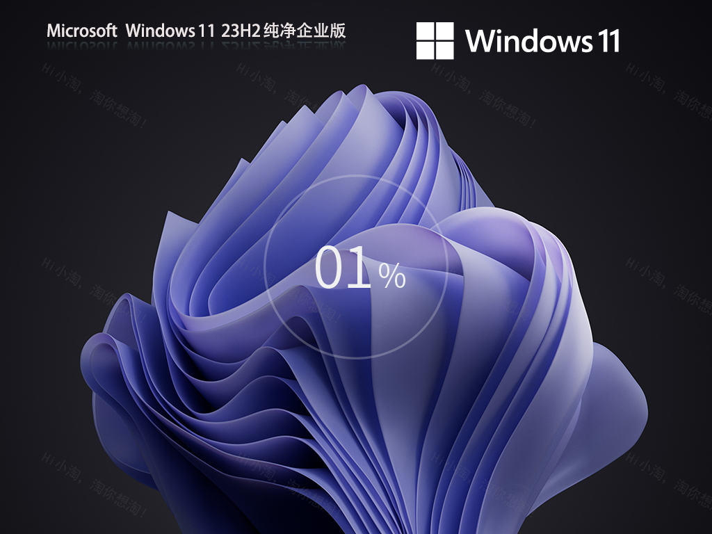 Windows11 23H2 64位 纯净企业版