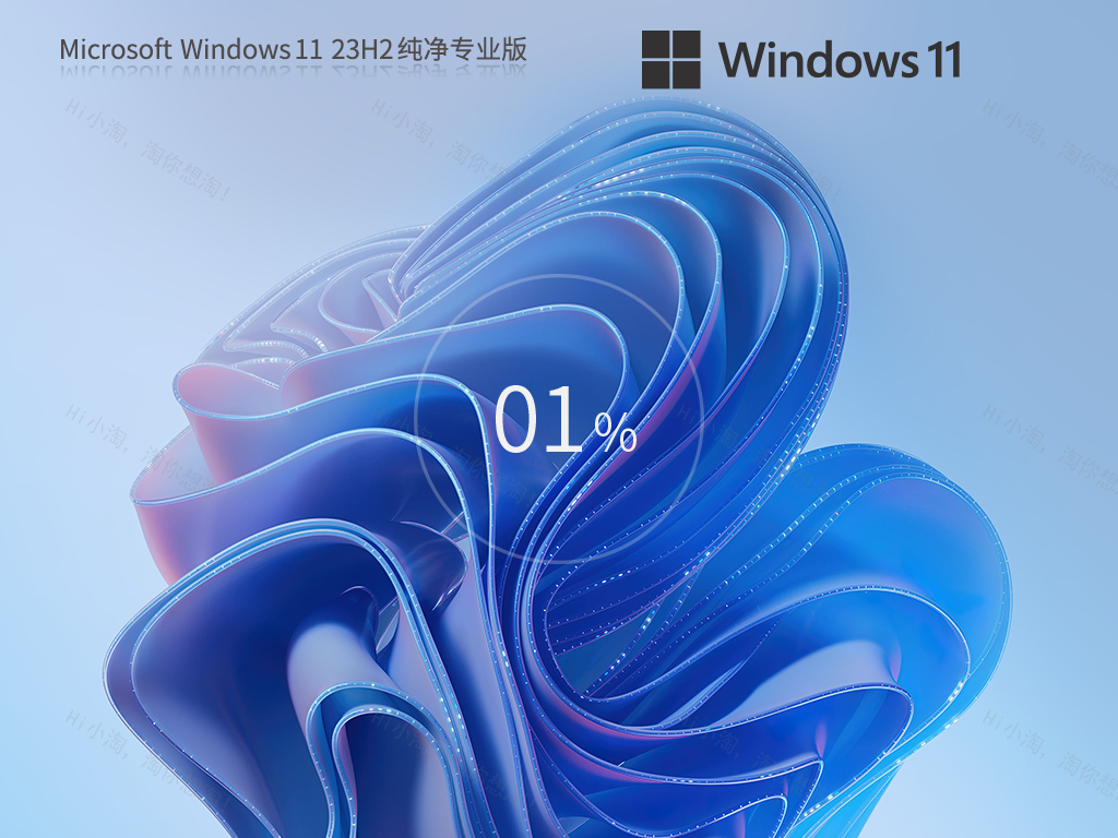 Windows11 23H2 64位 纯净专业版