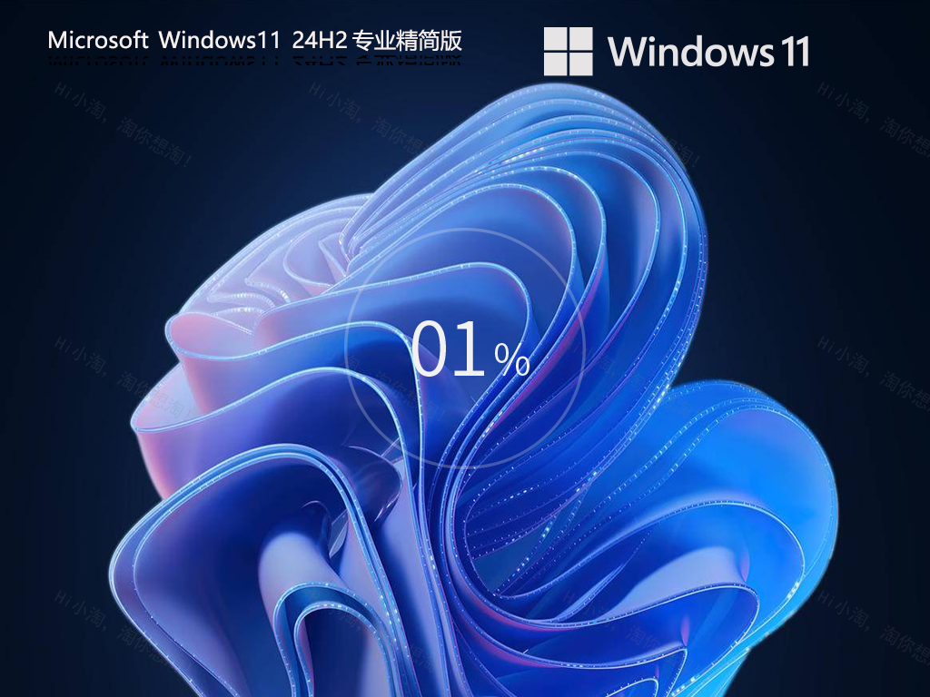 Windows11 24H2 64位 专业精简版