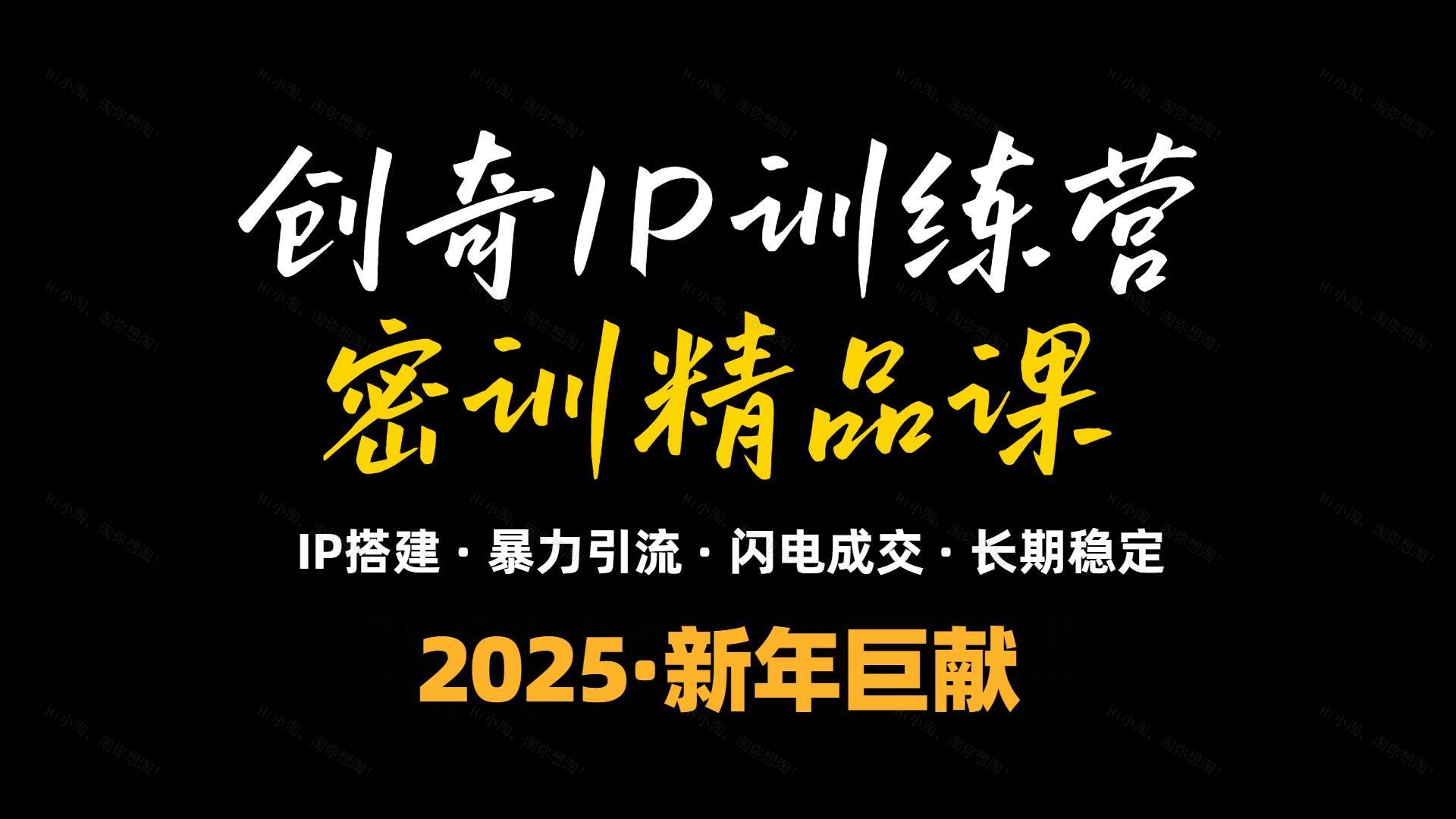 2025年“知识付费IP训练营”小白避坑年赚百万，暴力引流，闪电成交